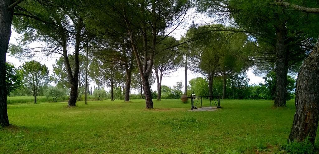 Agriturismo Podere Caggiolo - Swimming Pool & Air Conditioning Marciano della Chiana Eksteriør billede